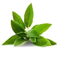 Herbal Blend